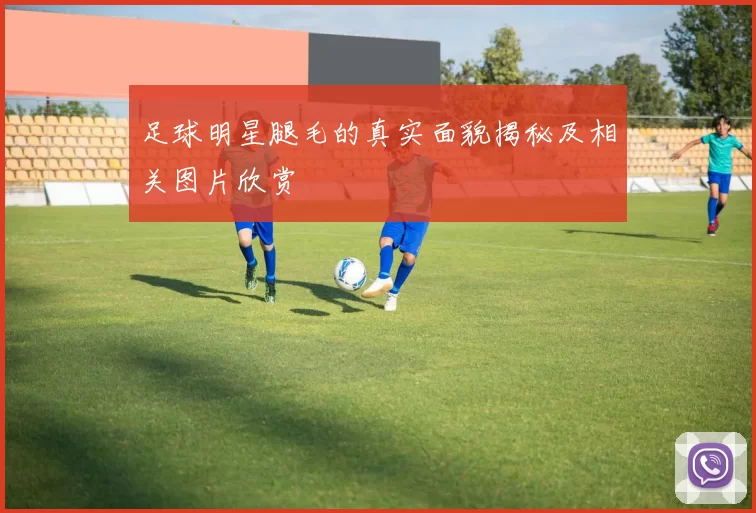 足球明星腿毛的真实面貌揭秘及相关图片欣赏