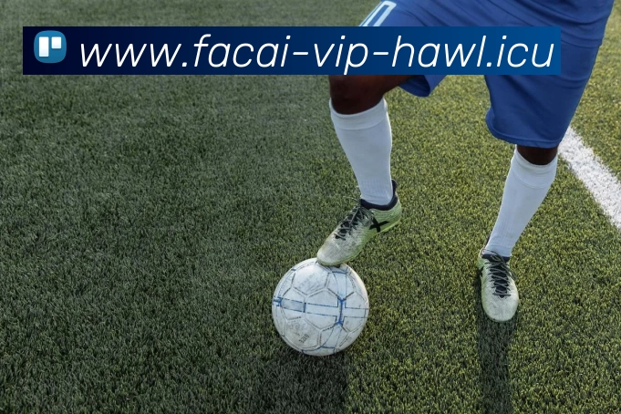 开云体育服务体系