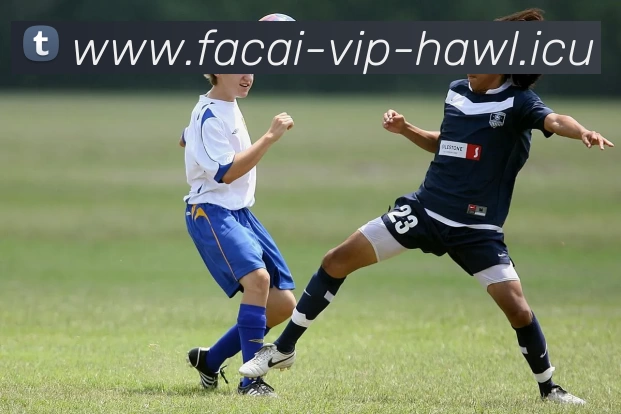 开云体育APP 体育赛事宣传图